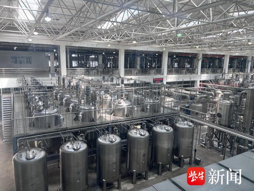 高质量发展调研行 向 智 向 新 向 绿 ,新质生产力的 连云港具象