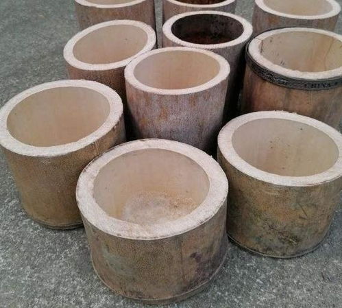 养花太 烧钱 用它们制作漂亮花盆栽种植物,乐趣多 实用