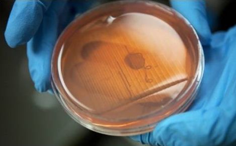 刚接触生物3d打印,如何选择生物墨水