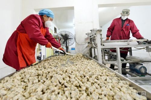 安徽巢湖 糖果飘香年味浓