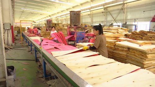 市场旺 订单足 精河县建筑用材料加工企业生产忙